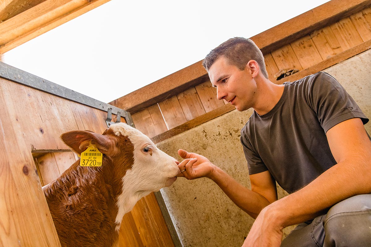 RIEDL - Milchhof / Frische Milch und Kernöl aus der Steiermark, Graz-Umgebung, Grambach